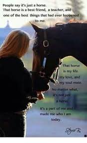 Read Information On Horse Riding Near Me Check The Webpage To Find Out More Do Not Miss Our Web Horse Quotes Horse Riding Quotes Inspirational Horse Quotes