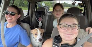 Three years ago today, Ms. Abby (FKA Abby) became a member of the Sawyer  pack and we couldn't be happier that she picked us. She has been a delight  to Millie and