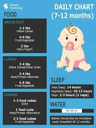 Show Me D Food Chart 4 Nine Month Baby Girl