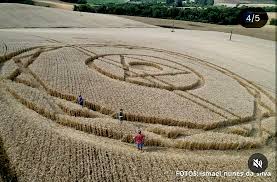 Wow! Crop Circle news from Ipuaçu, Santa Catarina, Brazil ...