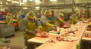 Ofertele de muncă sunt de la agenții diferite si fiecare anunț are telefon de contact diferit www.ofertemunca.com nu este o agenție. Caut 80 De Macelari Abator Munca Jobs In Strainatate