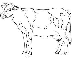Free printable cow coloring pages. Best Domestic Animal Cow 20 Cow Coloring Pages Free Printables