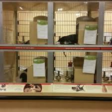 What jobs can you get at petsmart? Pet Hotel Petsmart The Y Guide