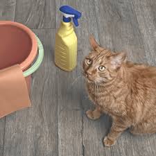 What causes a cat to throw up? Cat Vomiting What S Cause For Concern Ponderosa Veterinary Clinic