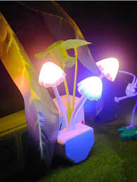 Color Changing Mushroom Night Light Shein Usa Night Light Lamp Socket Saving Light