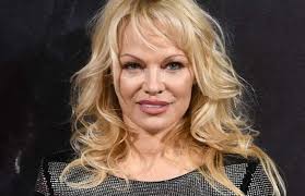 She is best known for her numerous appearances in playboy magazine and. Pamela Anderson Net Worth Biography Wiki Career Lifestyle Netwikiinfo