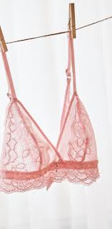 La Vie En Rose Soft Pink Lace Bralette Pink Lace