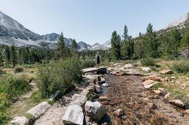 Check spelling or type a new query. A Taste Of The High Sierra In Little Lakes Valley Aspiring Wild