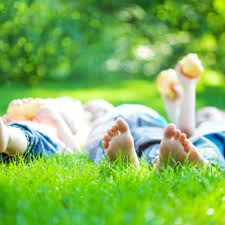 Good Nature Organic Lawn Care Landscaping 2327 Scioto Harper Dr Columbus Oh Phone Number