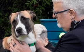 The Dog House NZ is perfect reality television