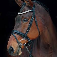 Br Bridle Adlington Hoofdstellen Toebehoren Paard Paarden Hoofdstellen Oren