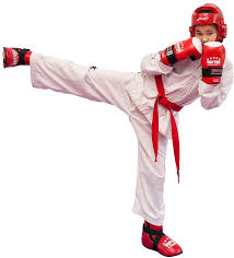 Maybe you would like to learn more about one of these? Taekwondo Png Thekvondo Png 2185232 Vippng