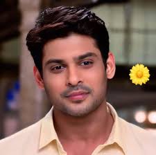 Sidnaaz picture made with ai