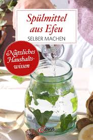 Zum Selbermachen Geschirrspulmittel Aus Efeu Rezept In 2020 Spulmittel Selber Machen Geschirrspulmittel Selber Machen