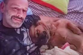 Experience country life surrounded by olive trees in Zacharo, West  Peloponnese, Greece