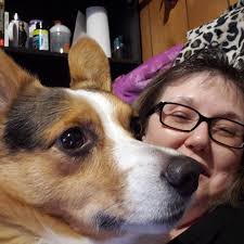 Willow Bear of Guinevere and her new homemade Christmas present pillow from  the housekeeper who is the official Corgi glitter buster 🤣🤣🤣😎WBG is  going to be 14 in July! She is 2