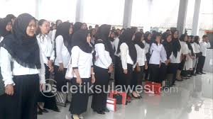 Selain cpns, pemerintah juga menarik 150 ribu pegawai pemerintah dengan perjanjian kerja (pppk) dalam dua tahap pada 2019. Berkas Belum Terlegalisir Penyerahan Sk Cpns Terhambat Detiksulawesi Com