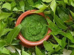 It is common in japan and china but is less common in the cancer growing very large and causing a blockage to food and drink. Neem Cure Cancer Can Neem Help Prevent Cancer Neem Leaves For Cancer Treatment