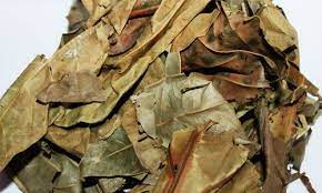 We did not find results for: Manfaat Daun Sukun Untuk Ginjal Diabetes Jantung Dan Cara Mengolahnya Majalah Mata Borneo News