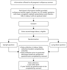 flow chart of participant recruitment download scientific