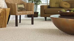 carpet cleaning down river