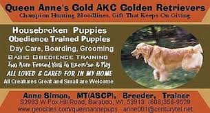Located in wisconsin we are located in manitowoc, wisconsin along lake michigan and offer golden retriever puppies and golden doodle puppies for sale by a responsible breeder to loving forever homes who promise to Queen Anne S Golden Retrievers