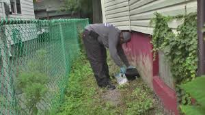 Western® pest control in paramus, paterson & nearby areas. Best 30 Pest Control Services In West Milford Nj With Reviews Yp Com
