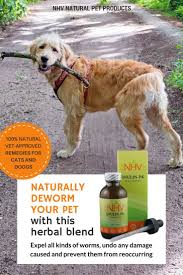 I'm wondering if this is absolutely necessary? How To Deworm A Kitten With Home Remedies Arxiusarquitectura