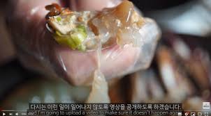펨신도 다보고있었어 짜식들아~ 펨신 근황.jpg 이러고 놀고 있었다. í•˜ì–€íŠ¸ë¦¬ ê°„ìž¥ê²Œìž¥ ë…¼ëž€ ì¶©ê²©ì ì¸ í•˜ì–€íŠ¸ë¦¬ ê·¼í™©