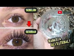 Oleskan Ini Sebelum Tidur Alis Bulu Matamu Menjadi Tebal Dengan Mudah Youtube Bulu Mata Alis Youtube