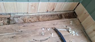 Image result for site:byggahus.se cellulosa