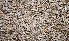 Australian gourmet traveller malaysian banquet recipe for duck with cumin (itik jintan putih). Turunkan Berat Badan Tanpa Olahraga Ini Caranya Republika Online