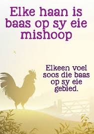 Afrikaanse Idioom Hoezit Haan Betekenis Afrikaanse Quotes Afrikaans Quotes Afrikaans