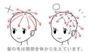 初心者が陥りがちな誤った髪の描き方と解決法 いちあっぷ 描画チュートリアル 鼻の絵 スケッチのテクニック