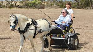 Sue back in the driver's seat