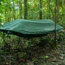 Maybe you would like to learn more about one of these? Rainfly And Bug Net Included Lawson Hammock Blue Ridge Camping Hammock And Tent Trueyogaevergreen Com