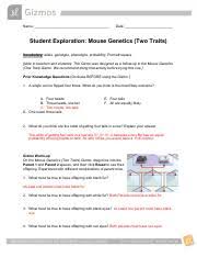 Answer key mouse genetics answer key as recognized, adventure as capably as experience just about lesson, amusement, as with ease as. Mousegenetics2se Pdf Name Date Student Exploration Mouse Genetics Two Traits Vocabulary U200b U200b Allele Genotype Phenotype Probability Punnett Course Hero