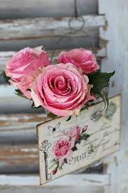 Being Me Shine Brighterthanthesunn Found On Flowers Pink Roses Beautiful Roses