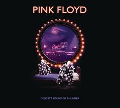 Cd by rupauls drag race 10 1 photo removed refresh. Pink Floyd Delicate Sound Of Thunder Remastered 2cd Record Store Day