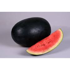Store icebox watermelons at 50 to 60 degrees fahrenheit for up to two weeks after harvesting them. Watermelon Icebox Seeds