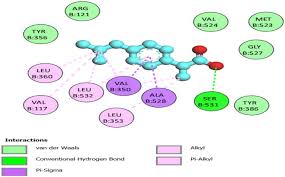 Image result for Multidentia crassa