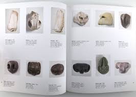 Groping for Substance by Maria Rucker — The RAiR Foundation