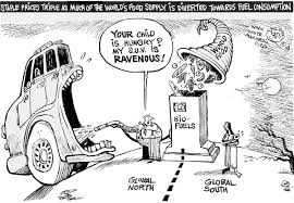 Food versus fuel? Going beyond biofuels