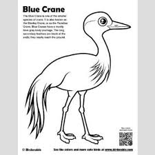 Birds Of South Africa Book Cute Bird Coloring Pages Page 2 By Birdorable Free Downloads Bird Coloring Pages Coloring Pages African Symbols