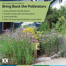 Cover photograph by joseph squillante. The New American Cottage Garden Home Facebook