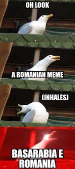 Find the newest romanian meme. Me When I See Romanian Memes On 9gag 9gag