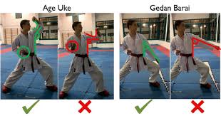 You can continue to contact us via email patients@uke.de or call +49 40 7410 51690. Age Uke And Gedan Barai Right And Wrong Download Scientific Diagram