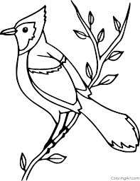 Blue jay printable coloring page for kids and adults | bird. Blue Jay Coloring Pages Coloringall