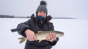 A fisheries biologist shows how to catch lake trout ice fishing.subscribe for more videos: Ice Fishing For Lake Trout Sunset Country Ontario Canada