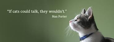 100 Cute Cat Kitten Cover Photo For Facebook Timeline Facebook Cover Photos Free Facebook Cover Photos Facebook Cover Quotes